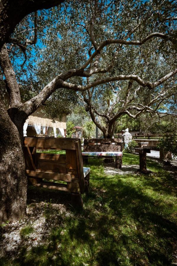 Santo Stefano del Sole Agriturismo A Casa Di Susanna מראה חיצוני תמונה