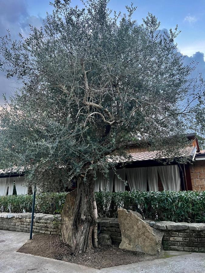 Santo Stefano del Sole Agriturismo A Casa Di Susanna מראה חיצוני תמונה