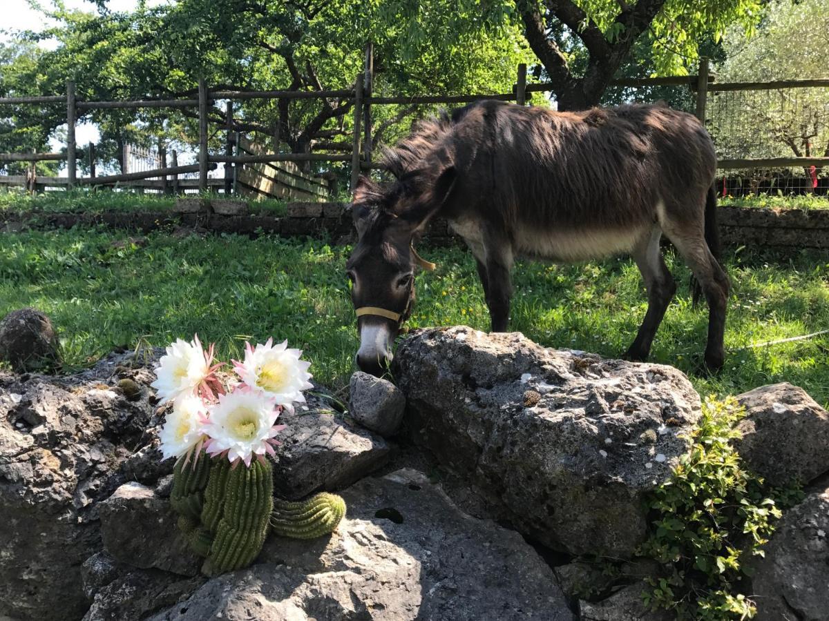 Santo Stefano del Sole Agriturismo A Casa Di Susanna מראה חיצוני תמונה