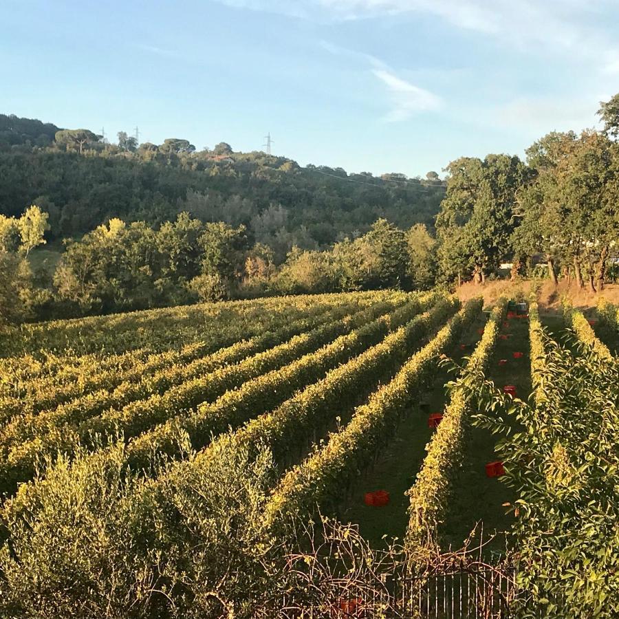 Santo Stefano del Sole Agriturismo A Casa Di Susanna מראה חיצוני תמונה